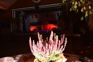 DSC 0263